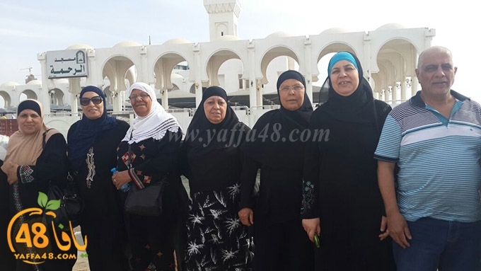 zibda yaffa jadda (5).jpg